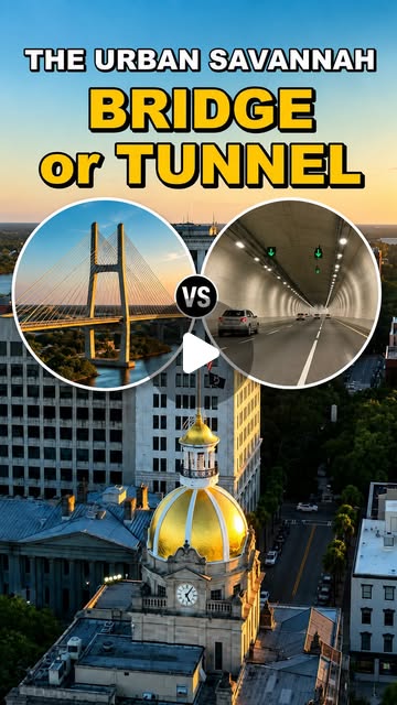 Bridge or Tunnel? on Urban Savannah
